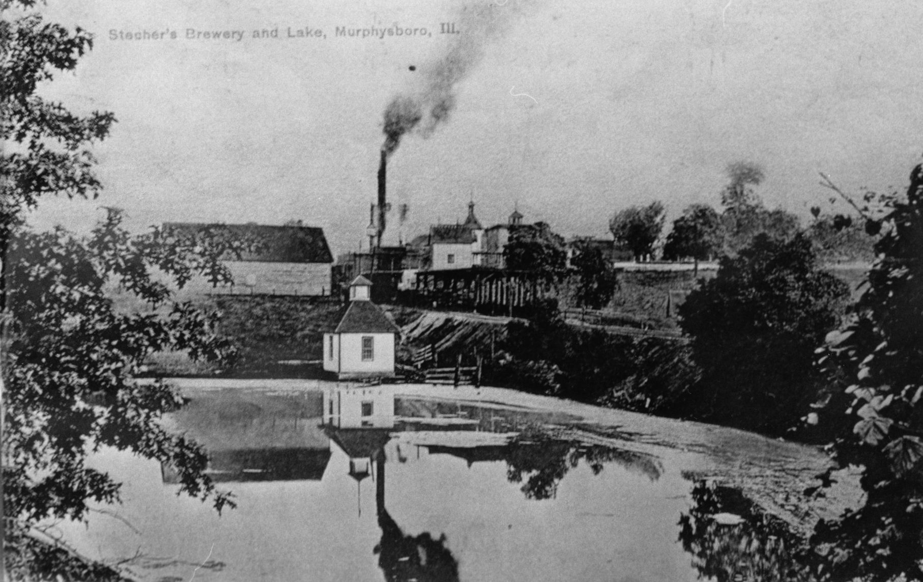 Rudolph Stecher brews in Murphysboro